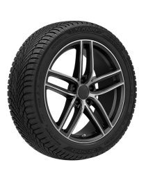 Sentury 205/50R17 93V XL WinterDragon