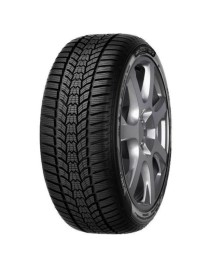 Sava 245/45R18 XL 100V Eskimo HP2
