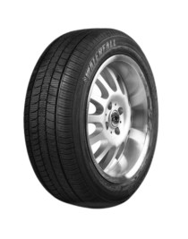 Waterfall 175/70R14 88T XL Quattro 4S